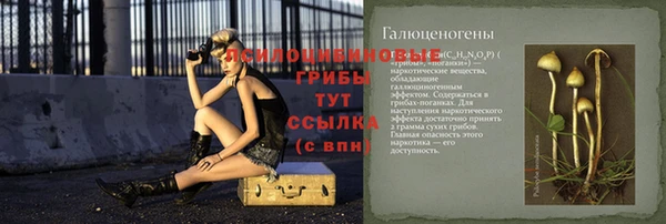 дмт Абинск