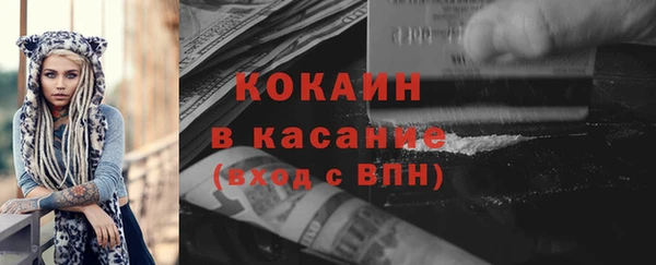 стаф Алзамай
