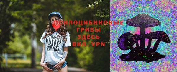 первитин Алексеевка